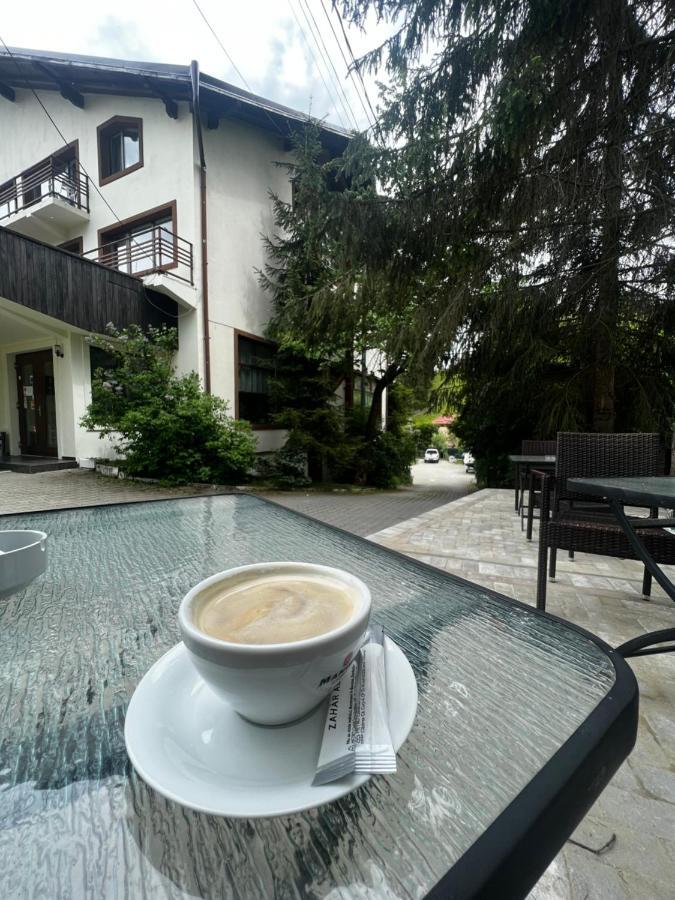 Chalet Minut ヴァトラ・ドルネイ エクステリア 写真